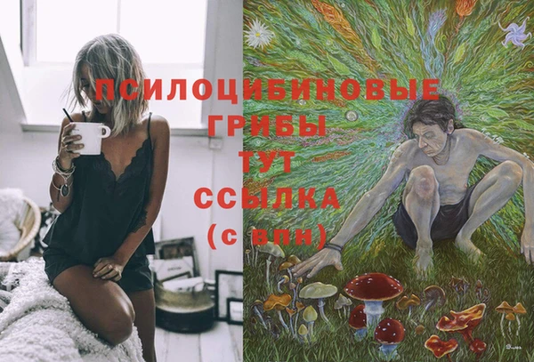 дмт Магадан