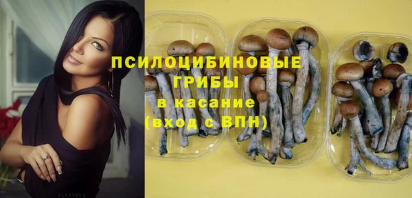 ГАЛЛЮЦИНОГЕННЫЕ ГРИБЫ Мегион